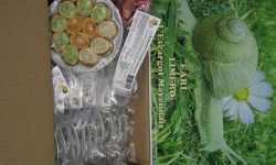 Limero l'Escargot Mayennais - Assiette De 12 Crouscrouski's D'escargots Gros Gris Frais Garnies Aux 3 Beurres