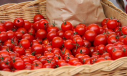 Le Châtaignier - Tomates  cerise - 500g