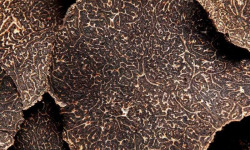 Plantin - L'art de la truffe depuis 1930 - Copeaux de truffe noire 100g