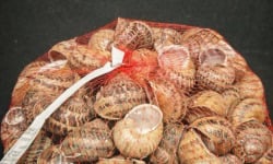 Boucherie Puig - Lot de 2 filets de 100 escargots