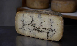 Alléosse Maitre Artisan Affineur Fromager - Moliterno Al Tartufo affiné 500g