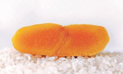 Maison DEHESA - Poutargue Signature 150g x 10 