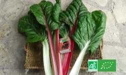 LES JARDINS DE KARINE - Blette entière 500g- 2 personnes