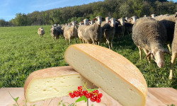 Dessine moi une brebis - Brebichon de brebis 200g