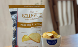 Chips Bellevue - Chips fermières à l'oignon grillé - La Rustique 10x125g