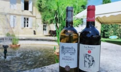 Château Jouvente - Découverte AOC Graves : le Rouge et le Blanc emblématique de Jouvente