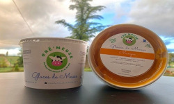 Glaces de Meuse - Sorbet Plein Fruit Mangue 360 grx 5