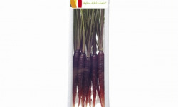 Maison Sales - Végétaux d'Art Culinaire - -2- Mini Carotte Pourpre - 12 Pcs Minimum
