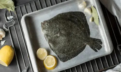 Brest Marée - Turbot - 1kg