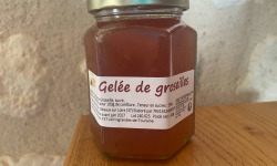 Des Poules et des Vignes à Bourgueil - Gelée de groseilles