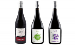 Domaine de la Perrée - AOC Saint Nicolas de Bourgueil & Bourgueil - Coffret Reflets Rouges 3 Bouteilles