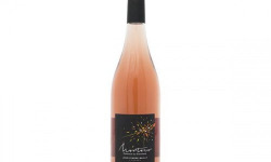 Domaine Bailly Jean-Pierre - Coteaux du Giennois Rosé