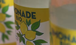 Maison Gannac - Limonade au Citron de Menton Bio