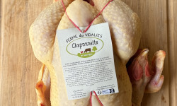 Ferme du Vidalies - [Précommande] Noël - Chaponnette (poularde castrée) ≈ à kg