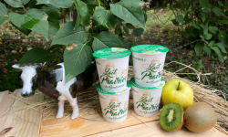 Lait Prairies du Boulonnais - Yaourt brassé à la pomme et kiwi x4