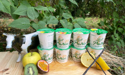 Lait Prairies du Boulonnais - Assortiment Yaourt fermiers brassé aux fruits exotiques x8