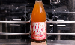 LOVEN Crew - Brasserie L'Indispensable - Kombucha Flamingo 25 (Fraise, Pomelo & Basilic) - 3x75cl