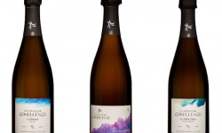 Champagne Confluence - Coffret Découverte – 3 Champagnes 3x75cl