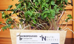 Ma Micropousse culinaire - Micro-pousses de radis mixte Bio 8 barquettes
