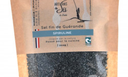 Artisans du Sel - Sel de Guérande à la Spiruline 200g x 12
