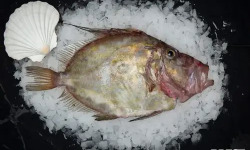 Brest Marée - Saint-Pierre - Pièce de 1kg