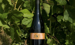 Domaine la Paganie - Vin Rouge de Cahors élevé en Amphore - LA TERRE 2023 - 1 bouteille
