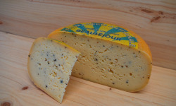 Fromagerie Beauséjour - Gouda à la truffe 2,5kg