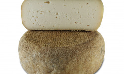 BEILLEVAIRE - Chèvre Fermier Bichonne 250g
