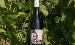 Domaine la Paganie - Vin Rouge bio - Malbec New Wave - 1 bouteille