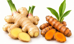 L'OLIVERAIE DU COUDON - GINGEMBRE FRAIS & CURCUMA FRAIS DU VAR – COLIS DE 2,5 KG