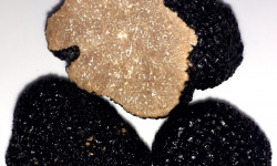 Ferme de Pourcier - Truffe Fraîche - Truffe d'été 100g