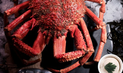 Luximer - Araignée De Mer Cuite - Pièce De 1kg