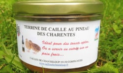 Cailles de Chanteloup - Terrine De Caille Au Pineau Des Charentes (190gr)