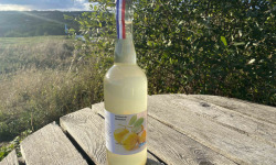 Ferme Sinsac - petillant de Mirabelles sans alcool 75 cl