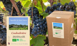 Château Saint Estève d'Uchaux - BIB x 10L Côtes du Rhône Villages Rouge BIO