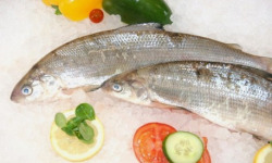 Ma poissonnière - Fera Du Lac - 2 Pièces De 400 G