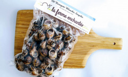 La Ferme Enchantée - [OFFRE PRO] Escargots Petits Gris Blanchis dans leur Coquille 7 poches de 100