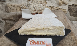 Lou Canesteou - Brie de Meaux AOP 250g