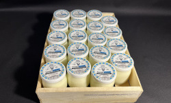 Laiterie de la Nive - Yaourt Nature au lait de brebis  x34