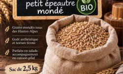 L'OLIVERAIE DU COUDON - [Précommande] GRAIN DE PETIT EPEAUTRE MONDÉ BIO – Hautes-Alpes – Sac de 2,5 kg