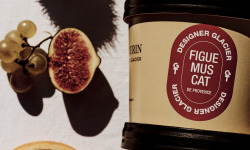 GT Designer Glacier - Sorbet Figues 500ML