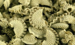 L'Atelier à Pâtes - Pâtes Crêtes De Coq Sèches À L'ortie