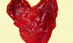 CHATEAUNEUF - Pavé de rumsteak x5