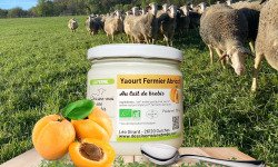 Dessine moi une brebis - Yaourt Brebis Abricot 320g