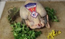 Ferme Tradi-Bresse - Poulet de Bresse AOP 1,7 kg
