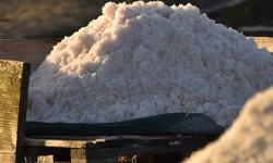 Artisans du Sel - Fleur de Sel de Guérande 20kg x 1