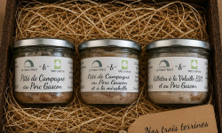 Terres de Bon Sens - Lot découverte une rillettes et deux pâtés : campagne, mirabelle