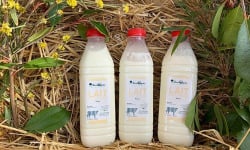 FermOgout - Lait Pasteurisé au goût du terroir - Lot de 3