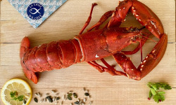 La Criée d'à Côté - Homard Bleu Cuit - 750 à 850g