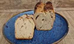 Graines de Créateurs - Meule nature 450g